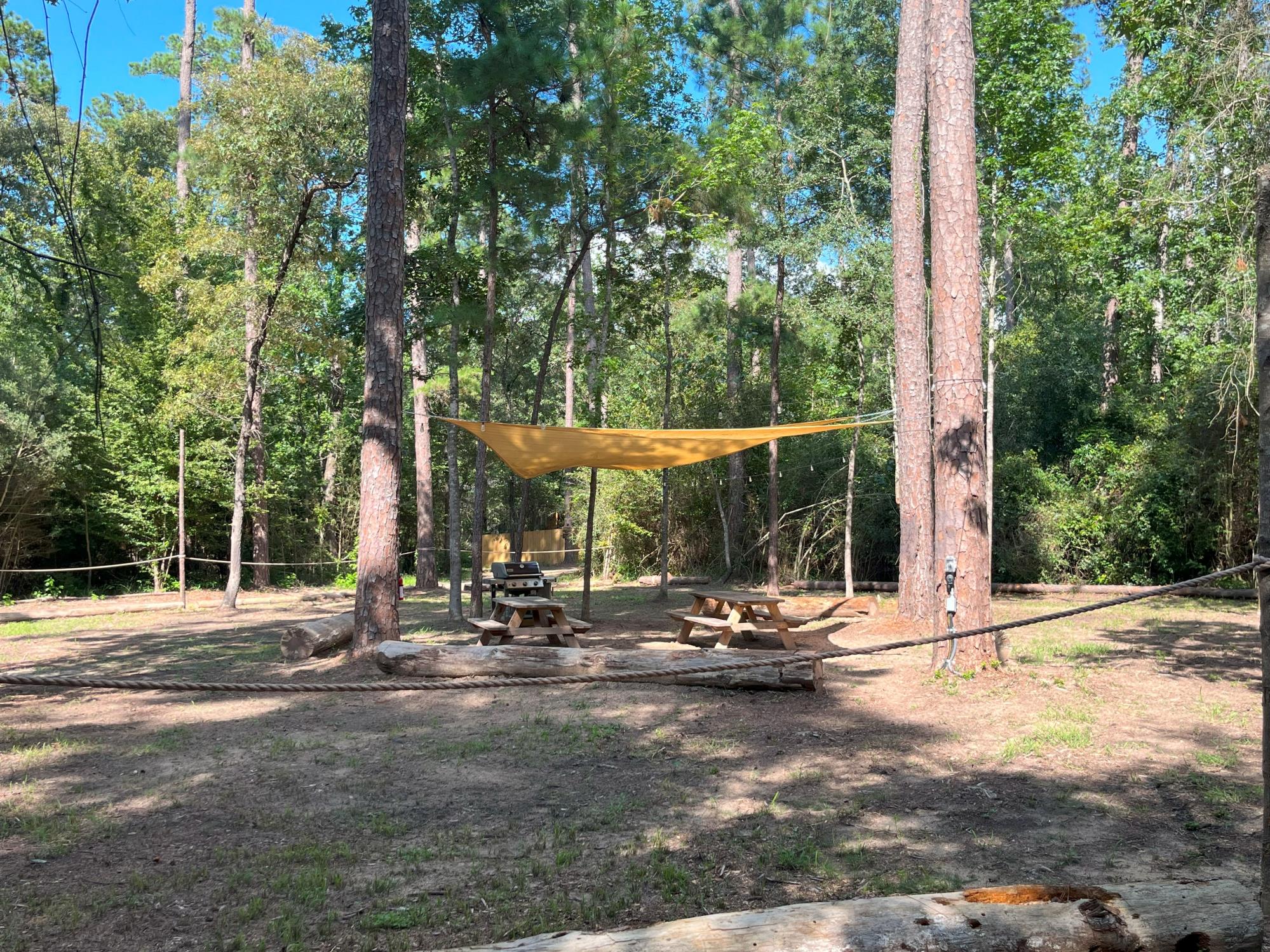 Common area with shade sail, picnic tables, and wooded grounds